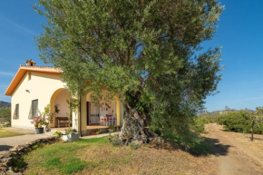 Villa Oliveto